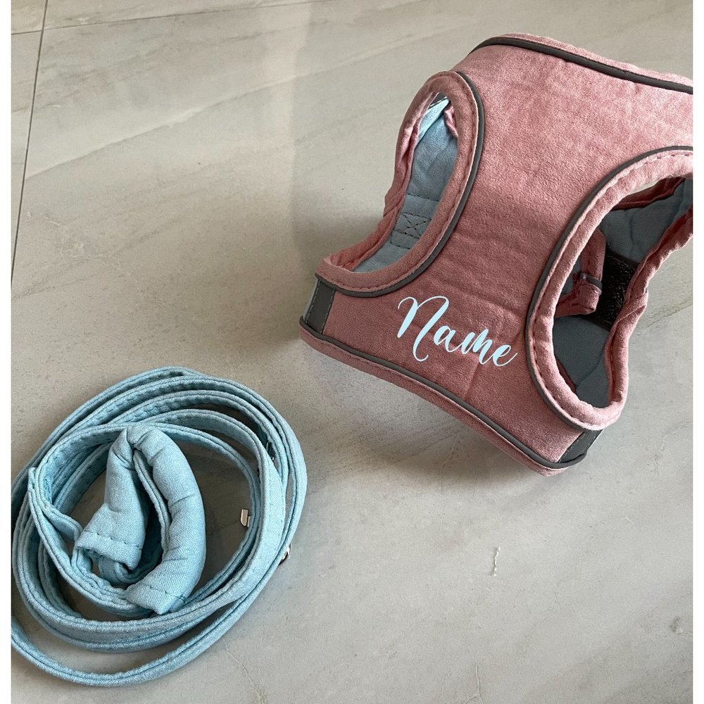 Custom pet harness with leash